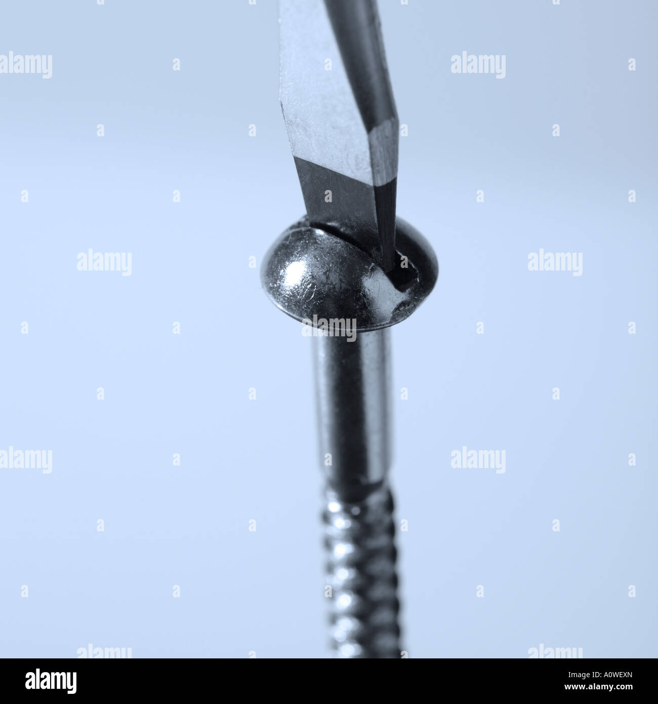 Close up of a screw driver turning a screw Stock Photo
