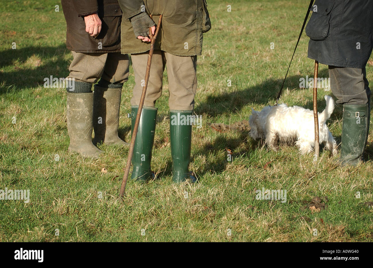 Farmers wearing wellington boots stand in a field with a dog Stock Photo Alamy