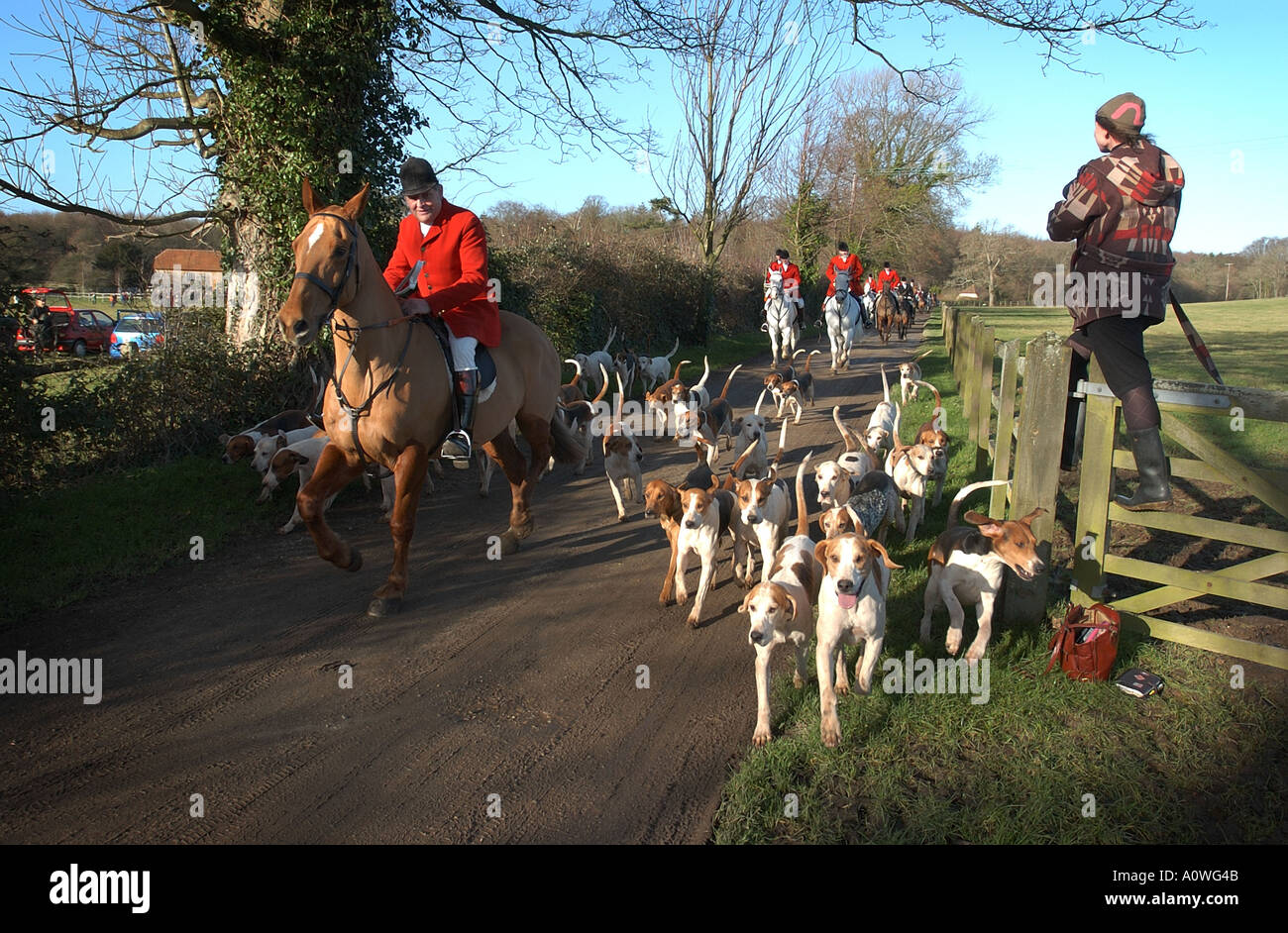 Hunt Horses Country Sports High Resolution Stock Photography and Images
