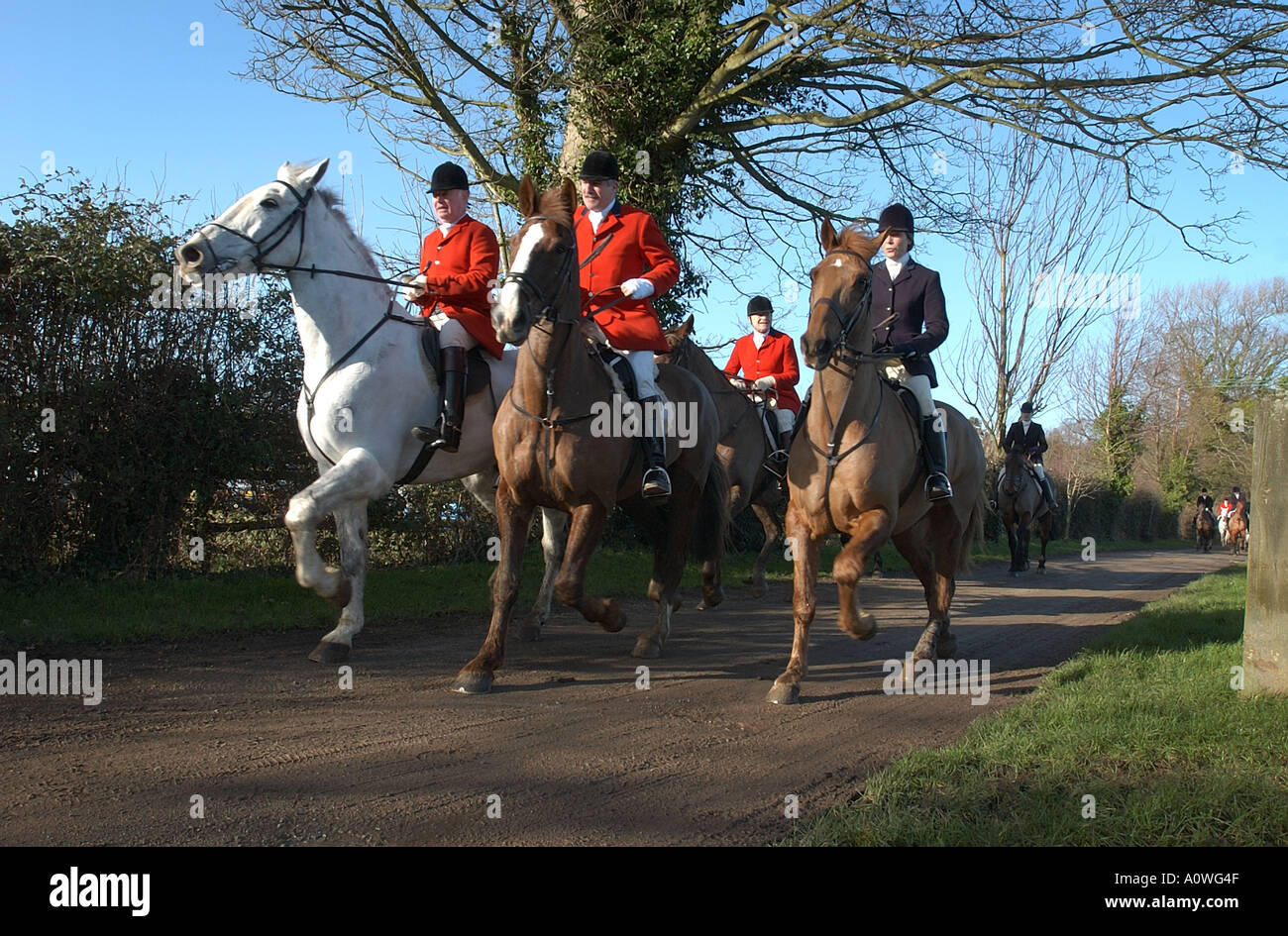 Horse rider on country lane hi-res stock photography and images - Alamy