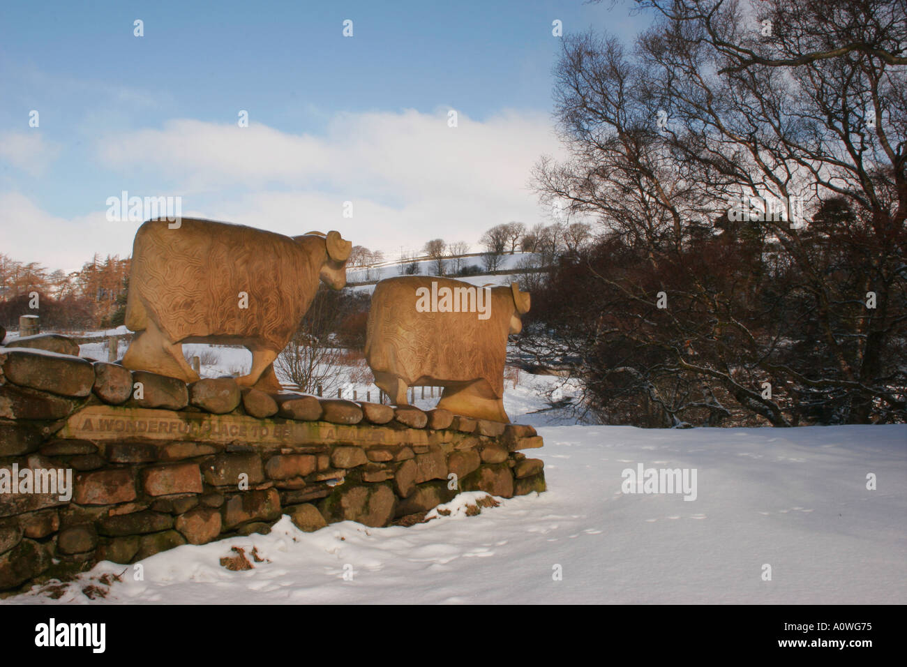 Stone Sheep sculptures near Low Force Waterfall UpperTeesdale County