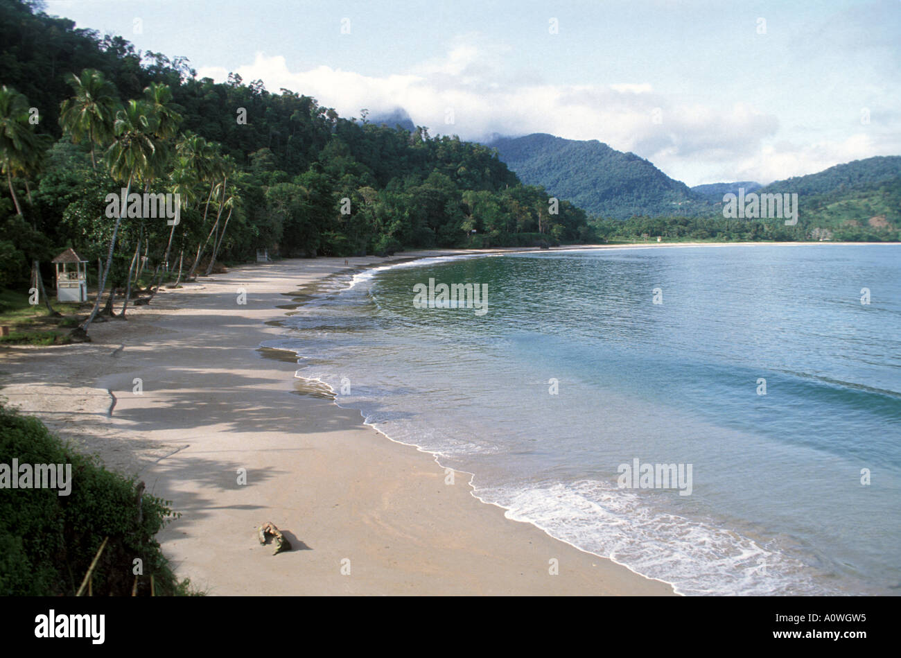 Maracas Bay Beach tropics tropical beaches palm trees mountains