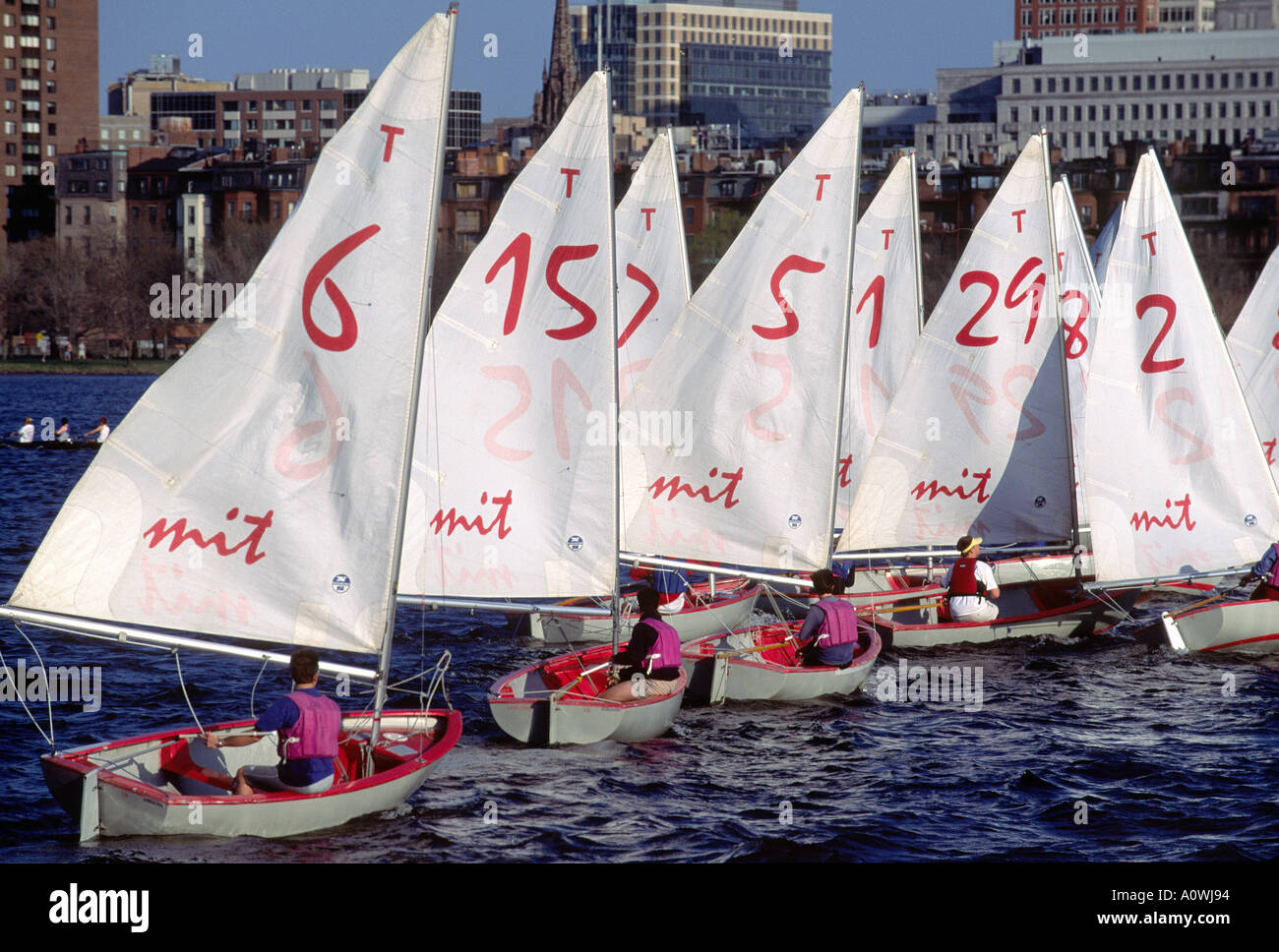 The Massachusetts Institute of Technology sailing club regatta on the Charles River in Cambridge Stock Photo