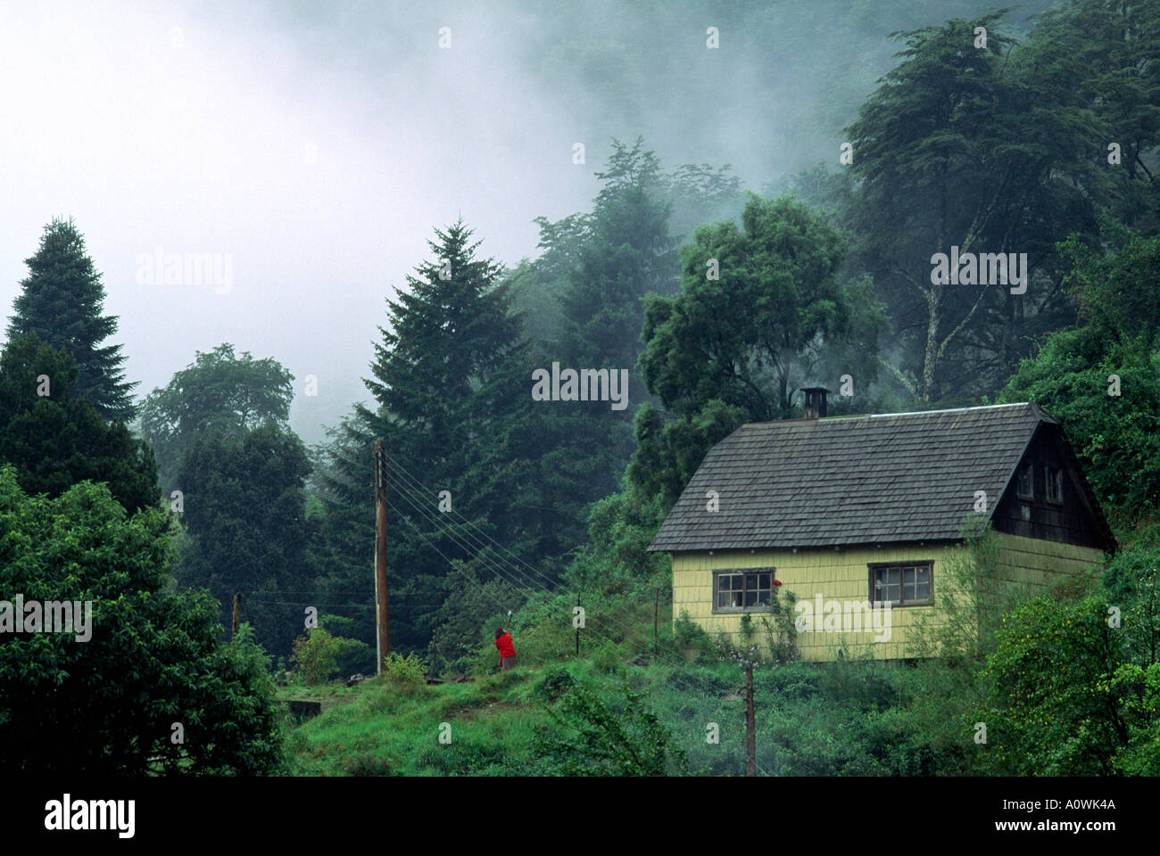 Temperate rain forest village house Stock Photo - Alamy