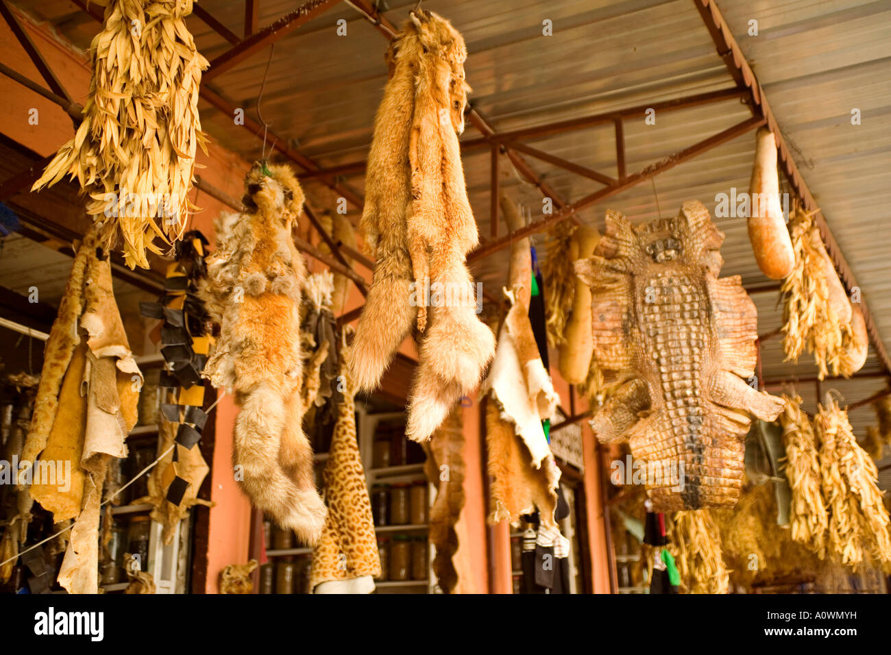 Animal skins for sale hires stock photography and images Alamy
