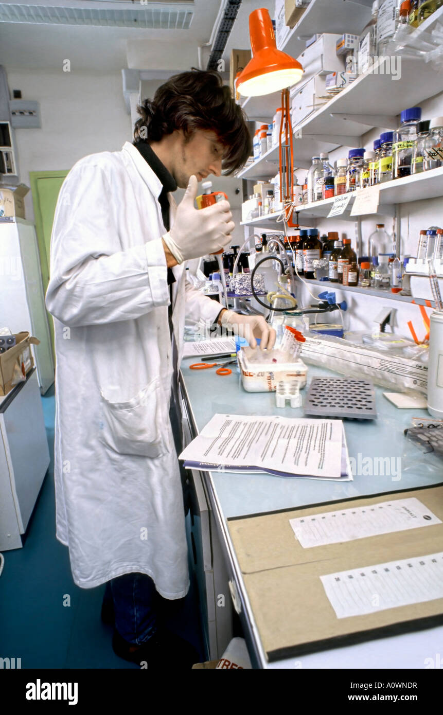 Immunological research laboratory hires stock photography and images