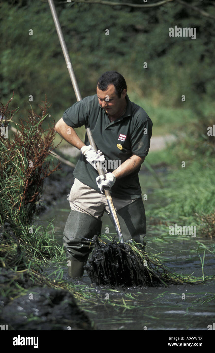 Remove weed from pond hi-res stock photography and images - Alamy