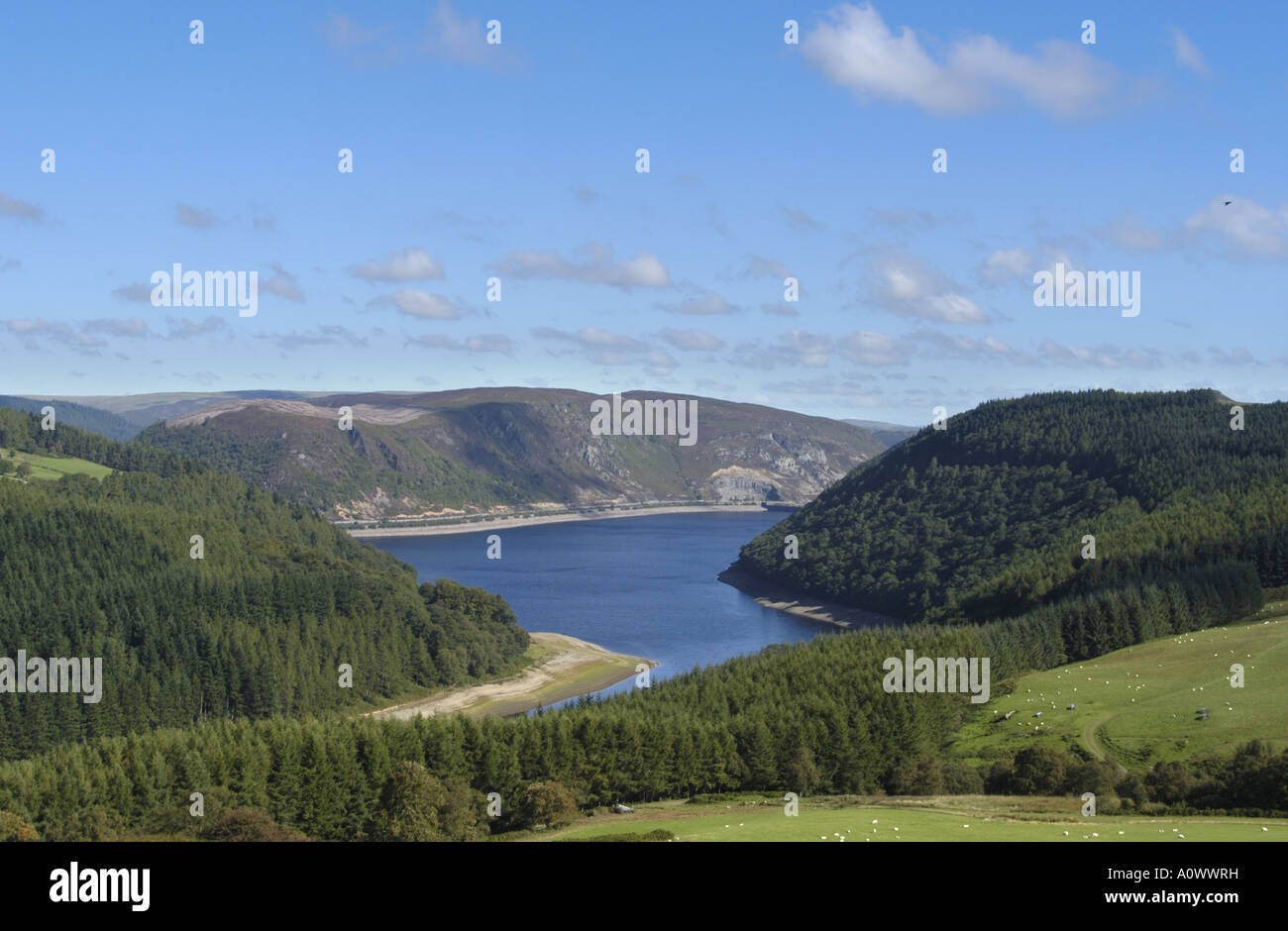 Low water in Caban coch reservoir from which Birmingham gets its drinking water in the Elan Valley Mid Wales UK Stock Photo