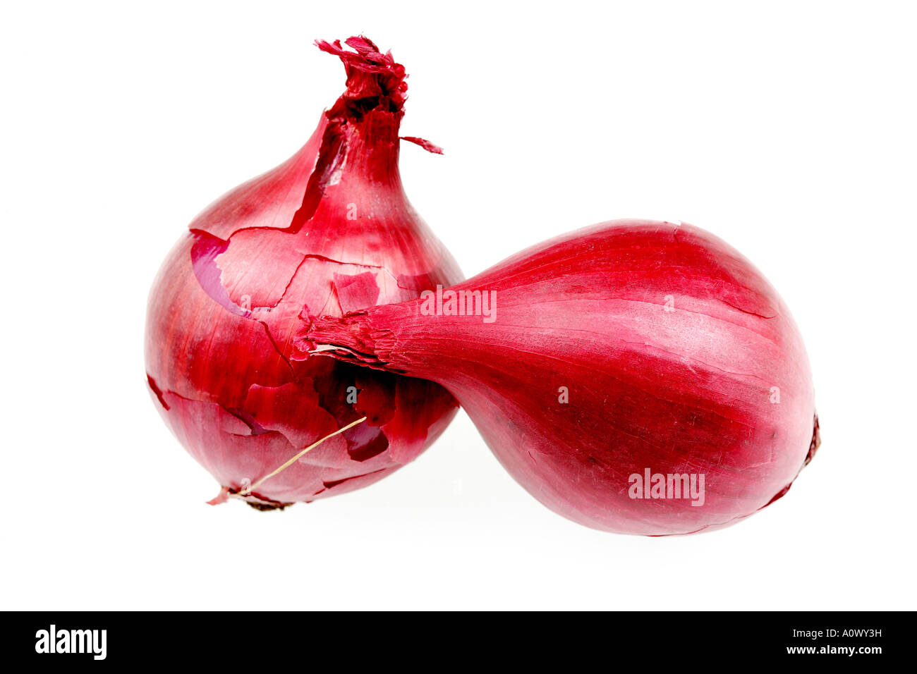 Fresh Whole Raw Uncooked Red Onions Stock Photo Alamy