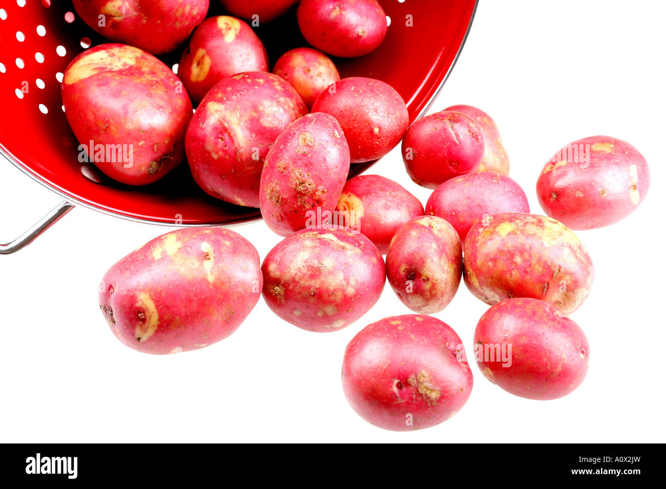 Fresh Cleaned Uncooked Red Potatoes With No People Stock Photo