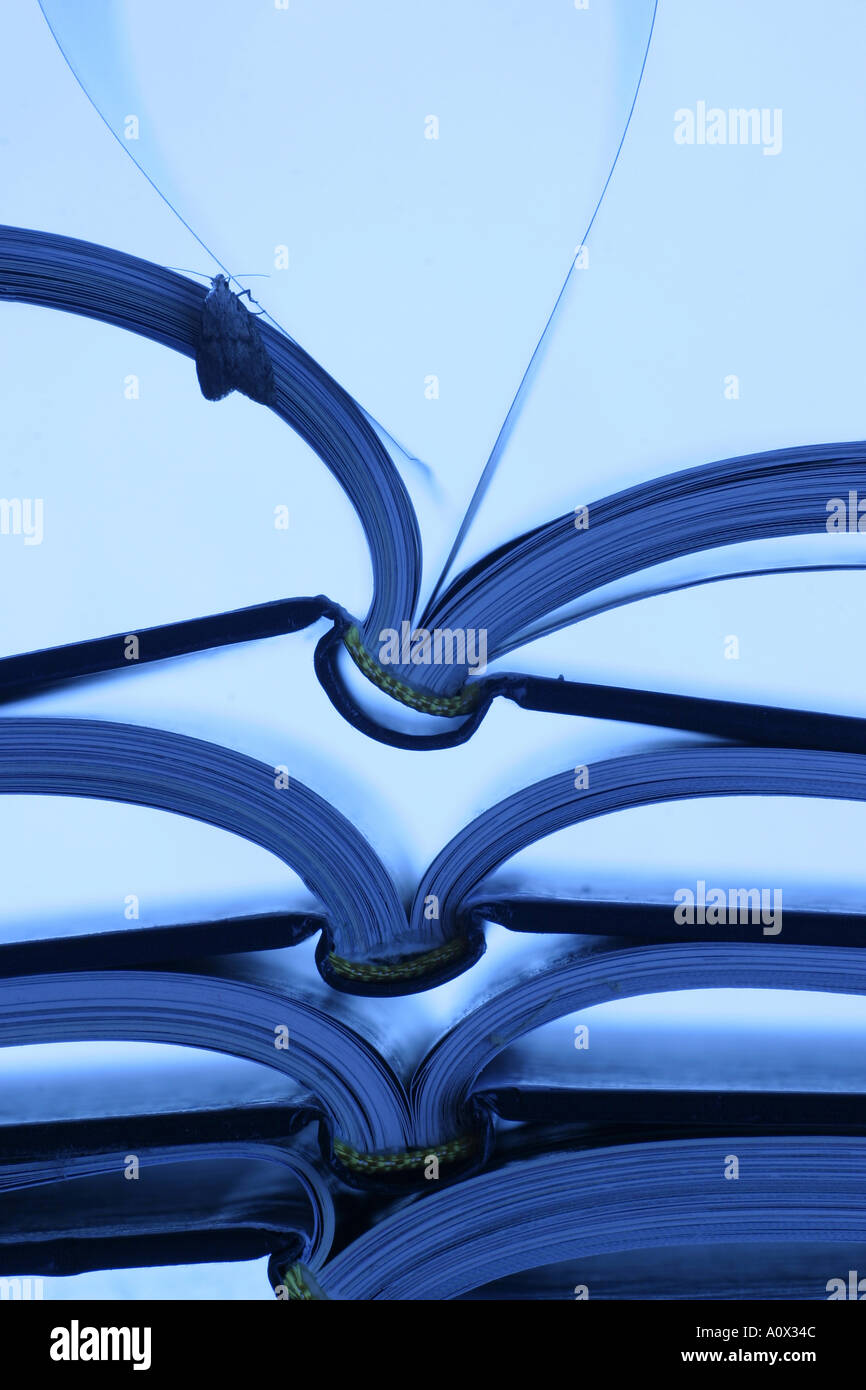 Hollow ribs hi-res stock photography and images - Alamy