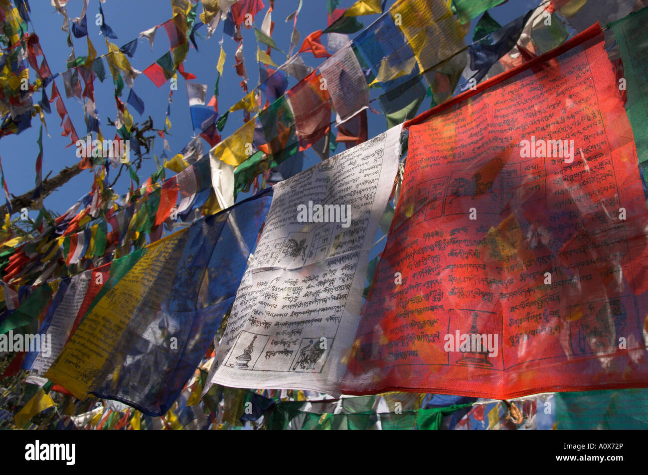 India West Bengal Darjeeling Tibetan budhist temple near chowrasta square prayer flags in on ropes flying in the wind Stock Photo