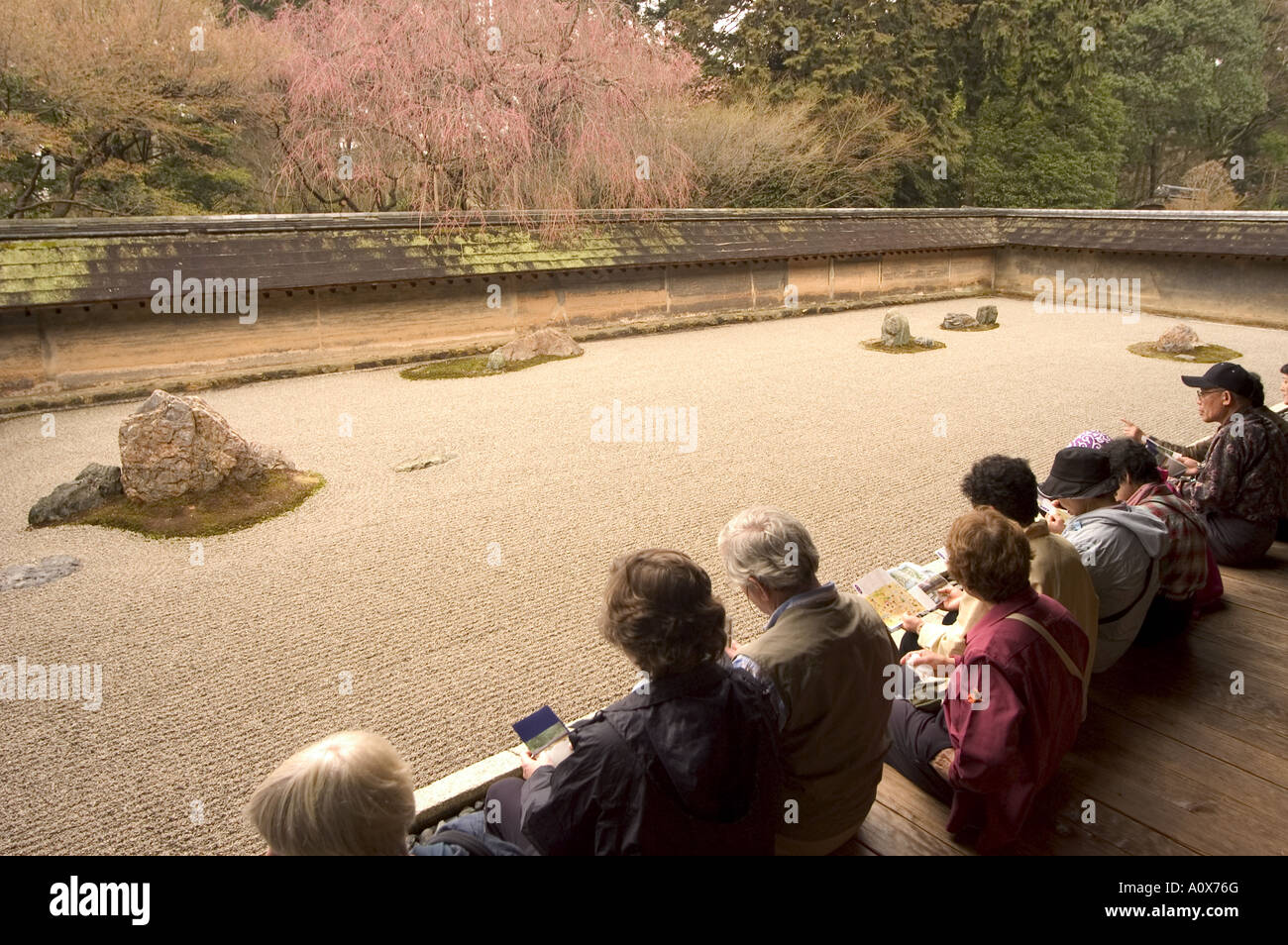 Watching and contemplating at Ryoanji temple dry stone garden and blossom UNESCO World Heritage Site Kyoto city Honshu island Stock Photo