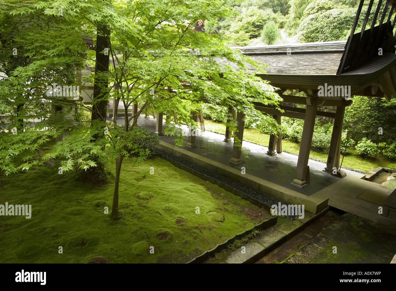 Ryoanji temple moss garden Ryoan ji temple UNESCO World Heritage Site Kyoto city Honshu Japan Asia Stock Photo