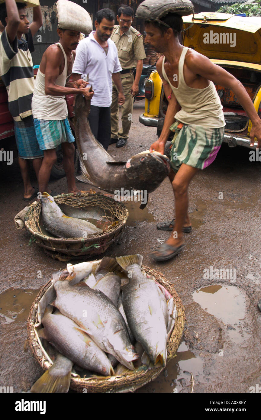 Kolkata Fish Market High Resolution Stock Photography and Images Alamy