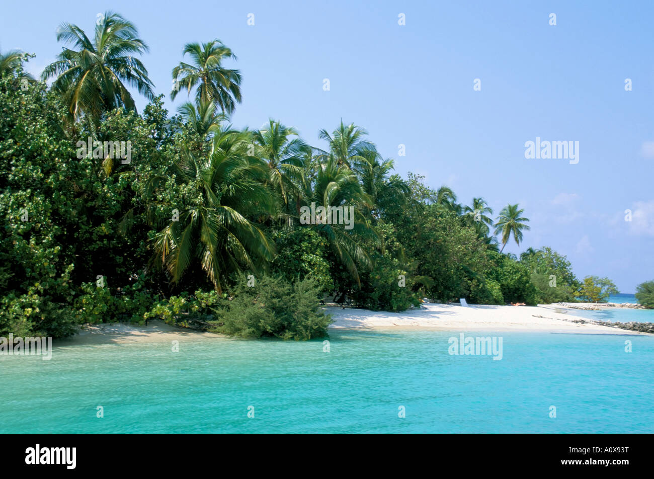 Asdu Island North Male Atoll Maldives Indian Ocean Asia Stock Photo - Alamy