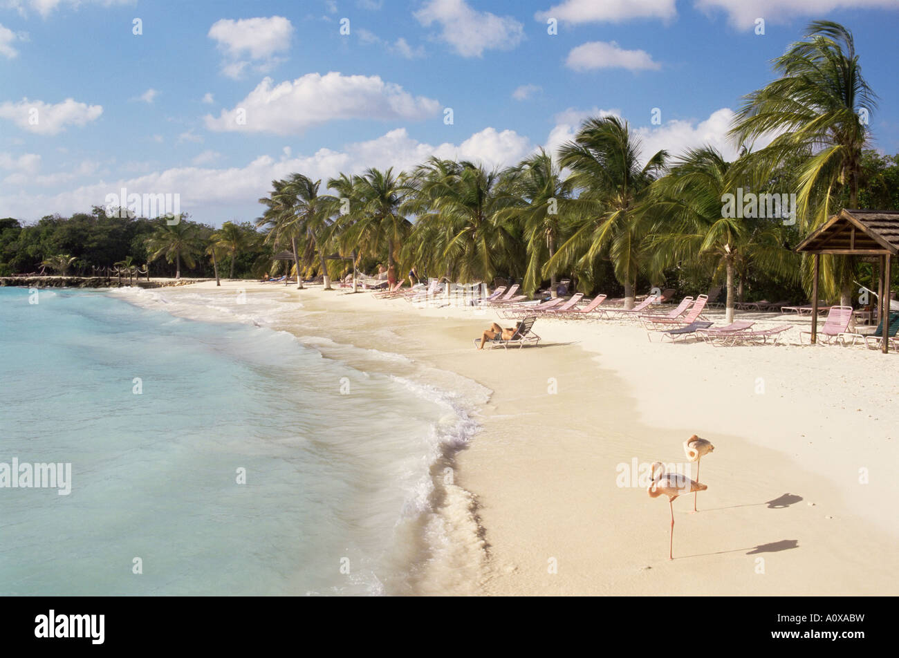 Sonesta Island Aruba West Indies Dutch Caribbean Central America Stock Photo