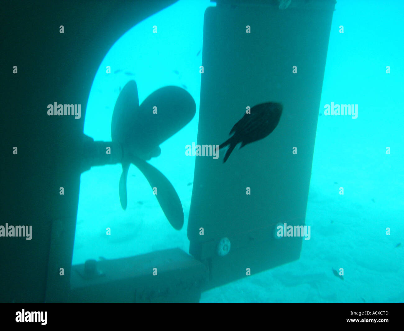 Propeller of a boat underwater Stock Photo Alamy