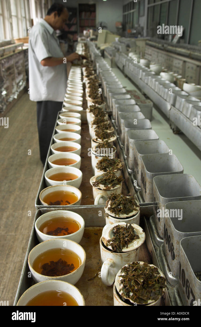India West Bengal Kolkata Tea Industry Tea Brokers Tea tasting