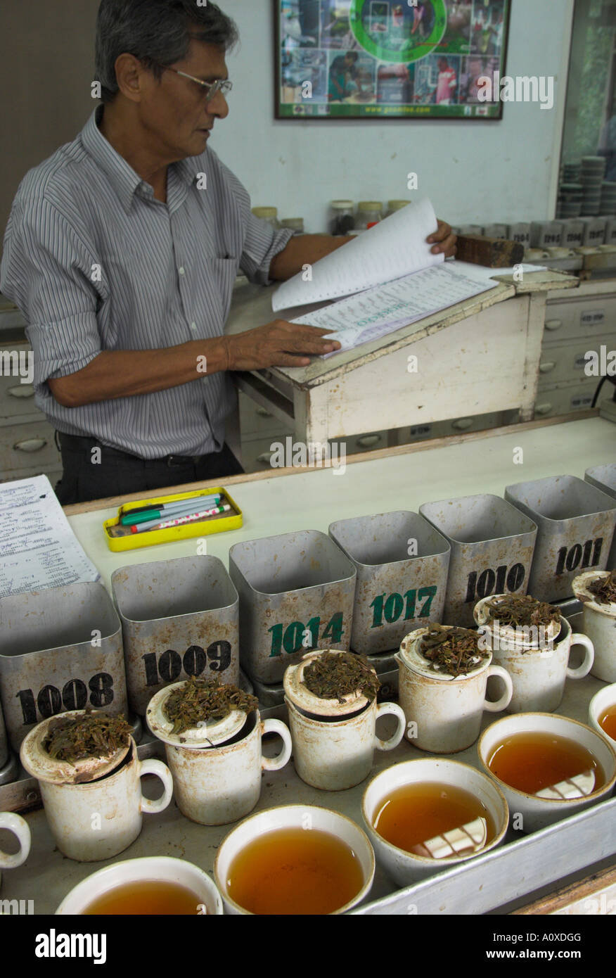 India West Bengal Kolkata Tea Industry Tea Brokers Tea tasting department at Carrit Moran Co