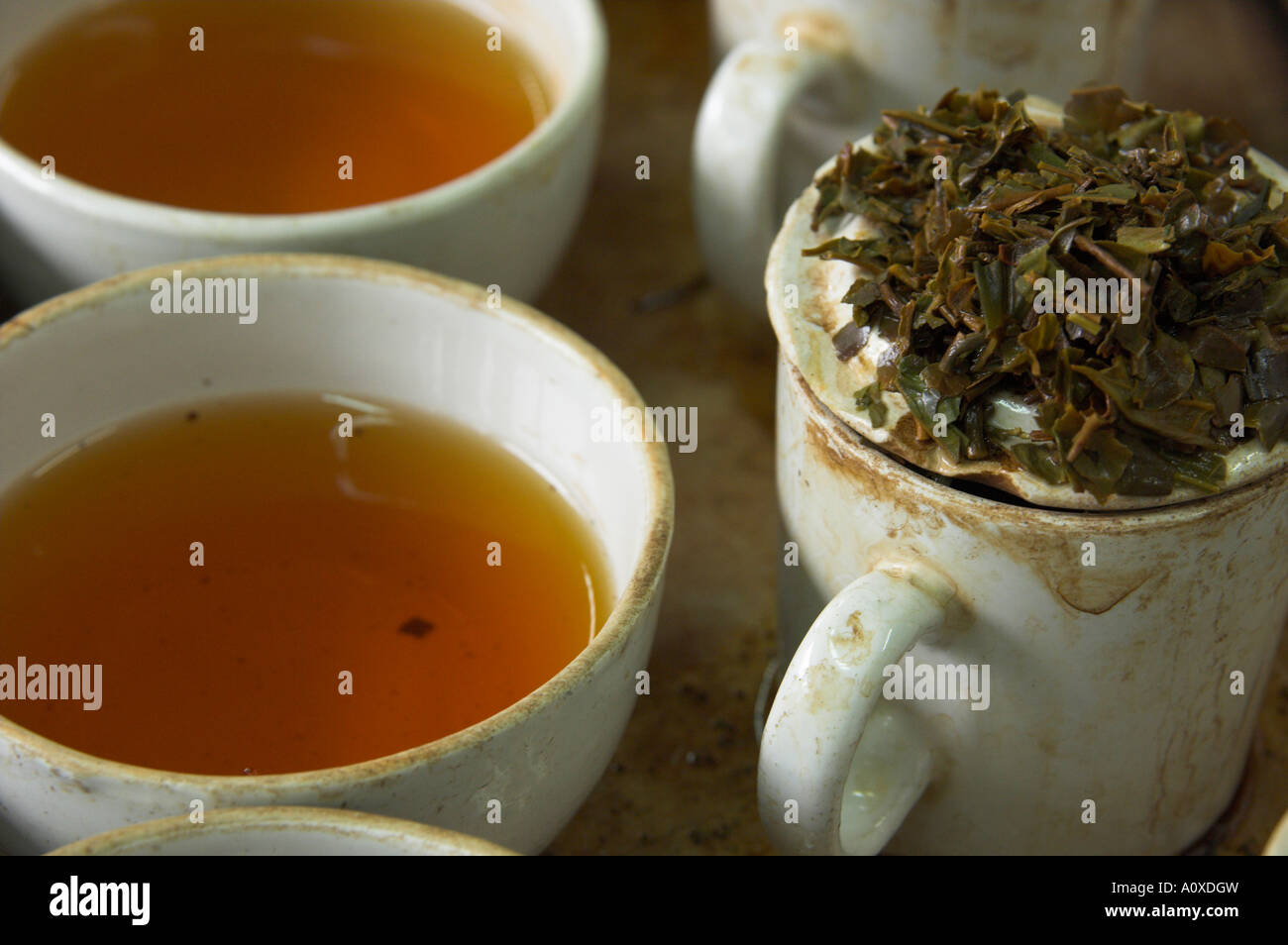 India West Bengal Kolkata Tea Industry Tea Brokers Tea tasting