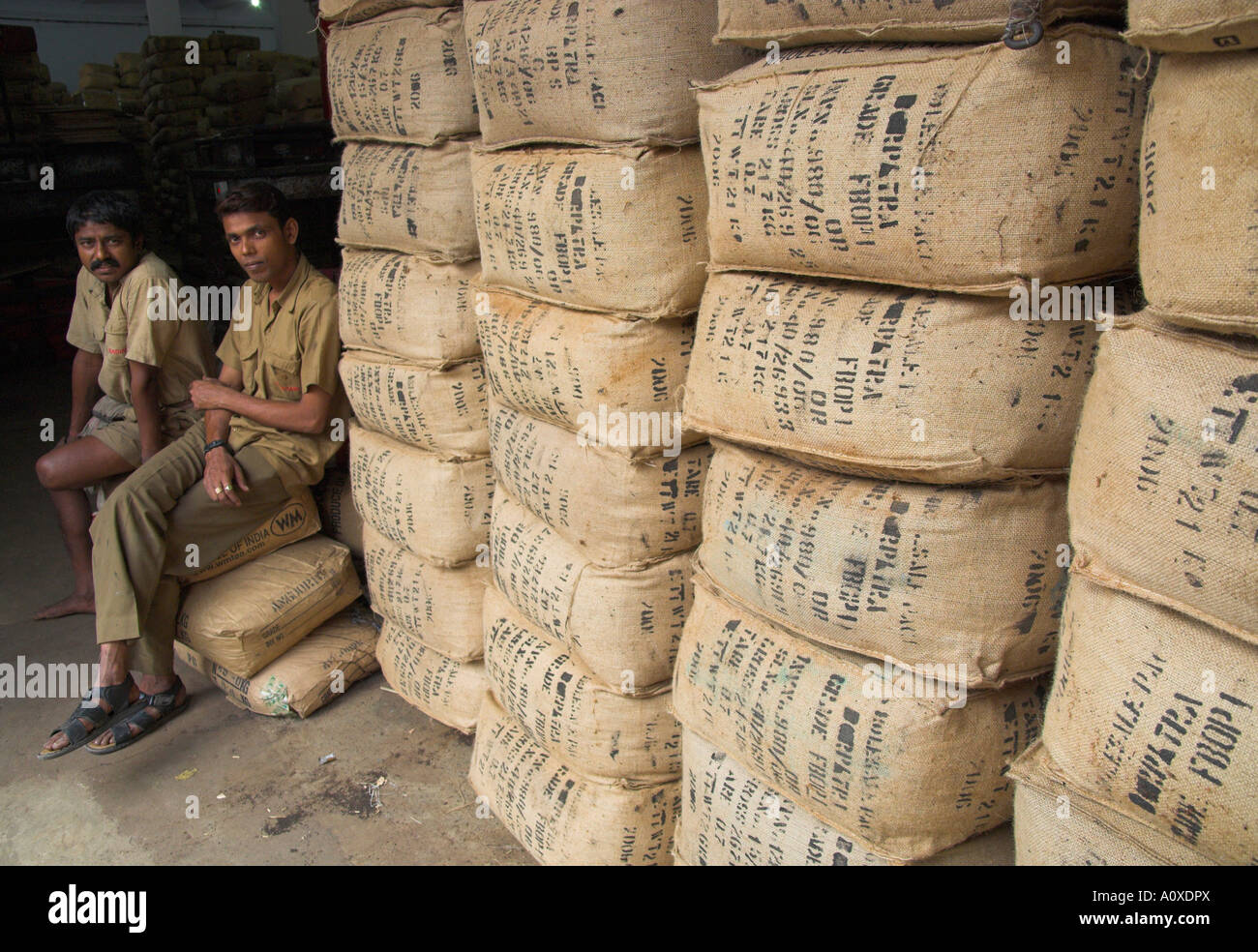 India West Bengal Kolkata Tea Industry Tea Brokers Carrit Moran Co tea