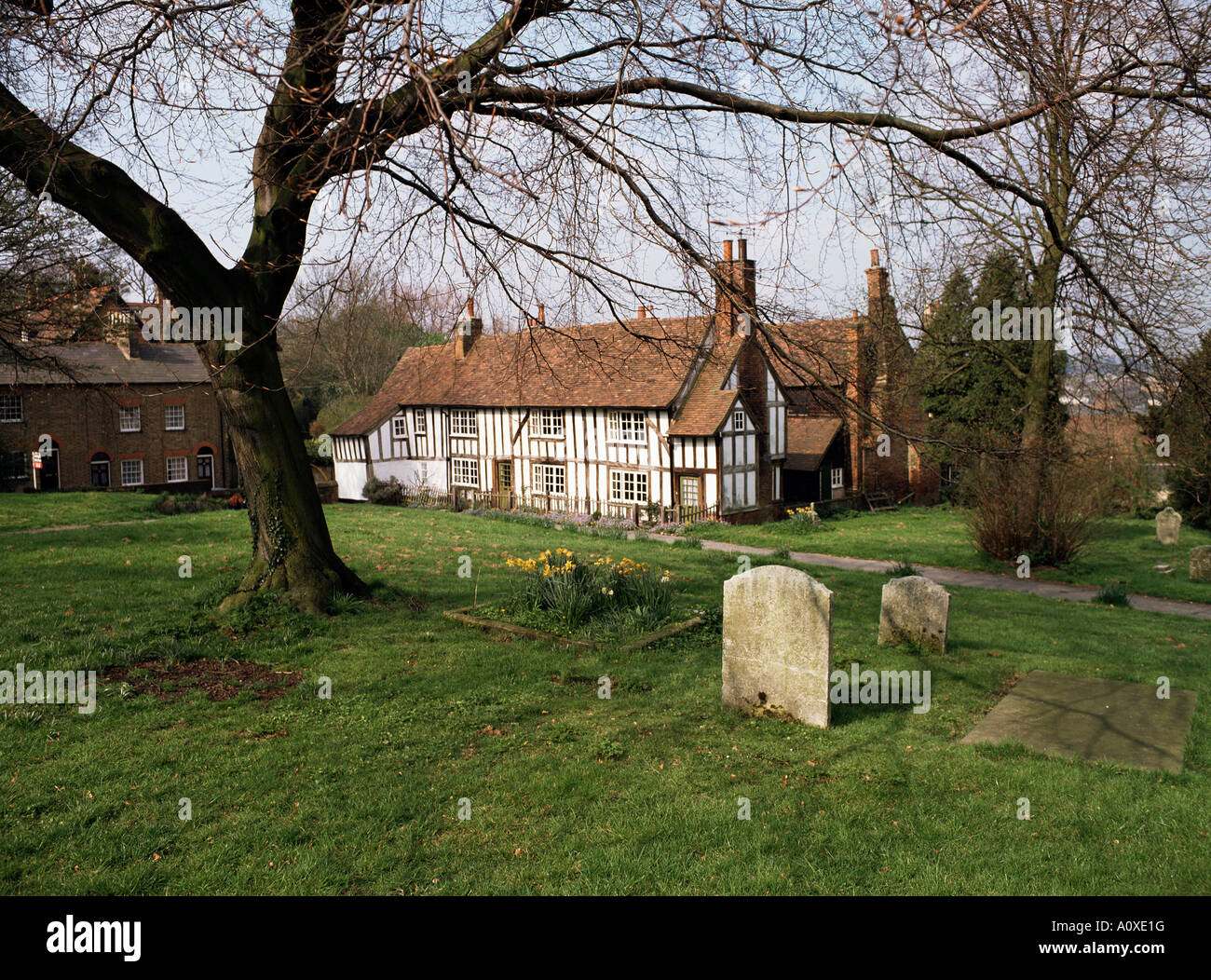 Half timbered cottages in the church graveyard at Old Hatfield