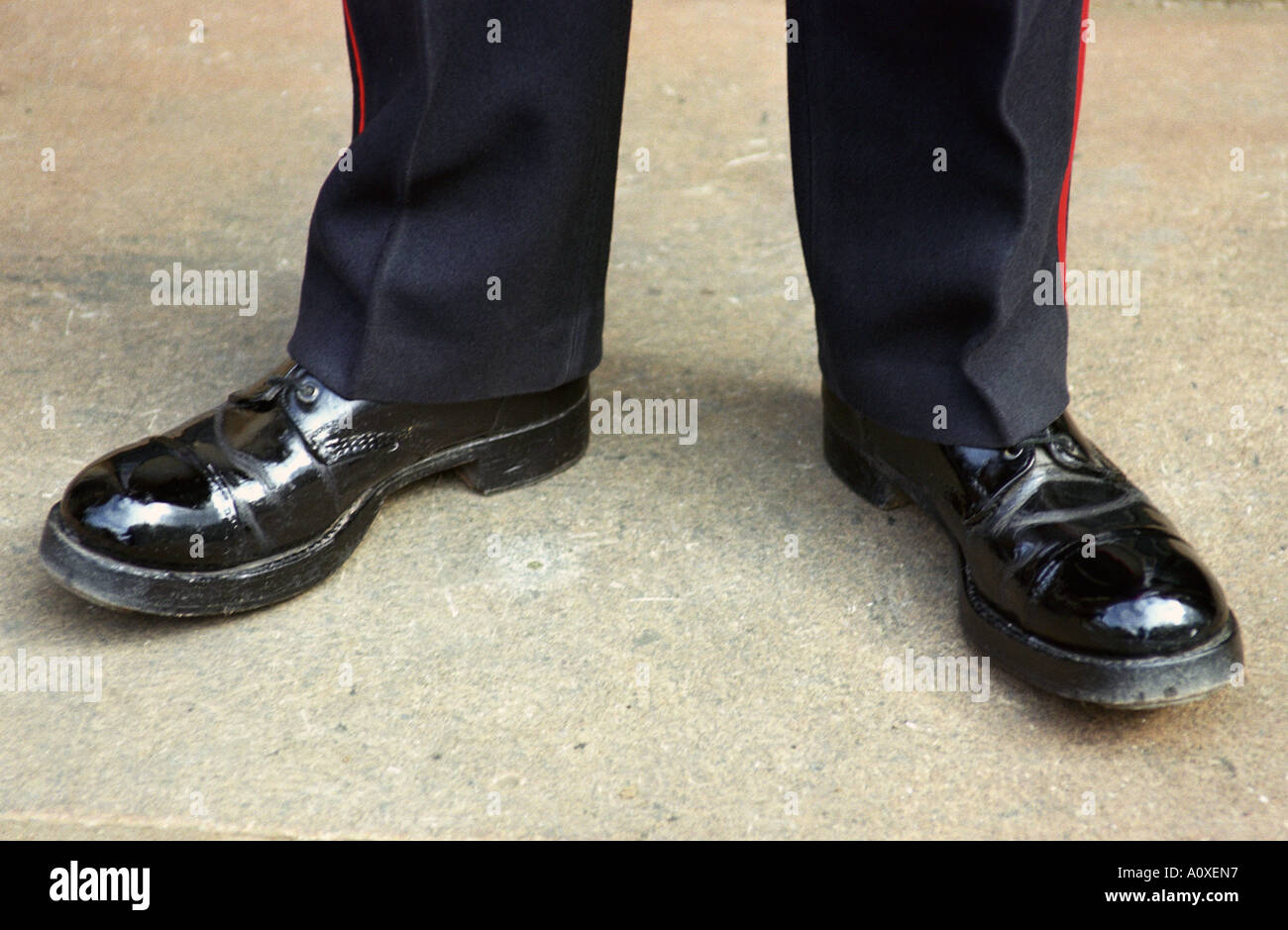 ENGLAND LONDON The polished shoes of a Royal Guard Stock Photo Alamy