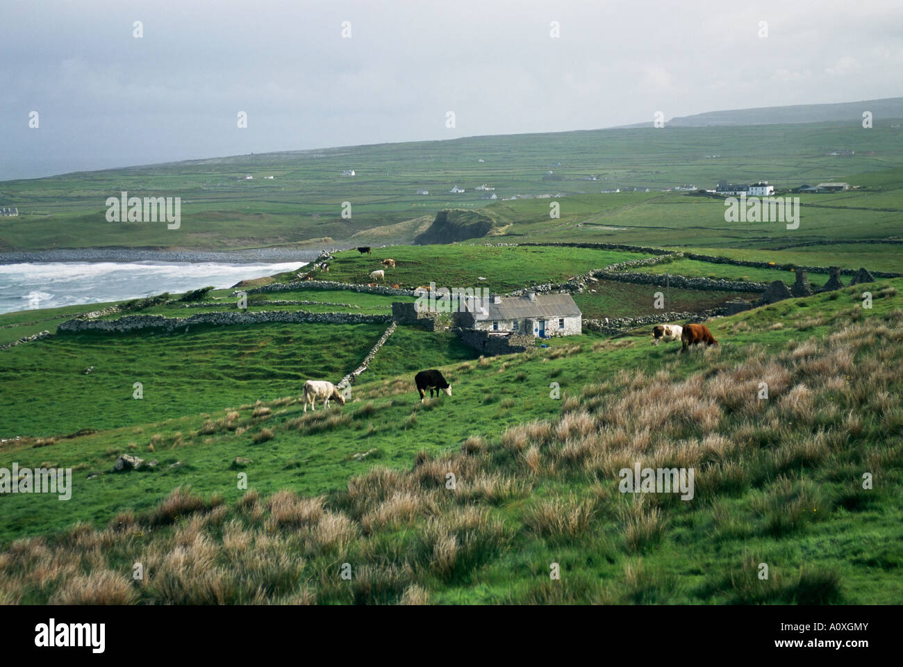 Indicated — Ballyhannan South