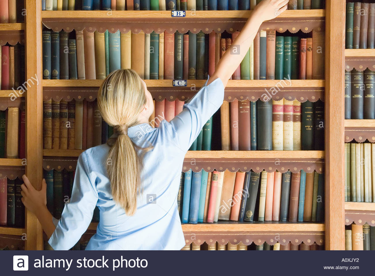 Reach High Shelves at William Darosa blog