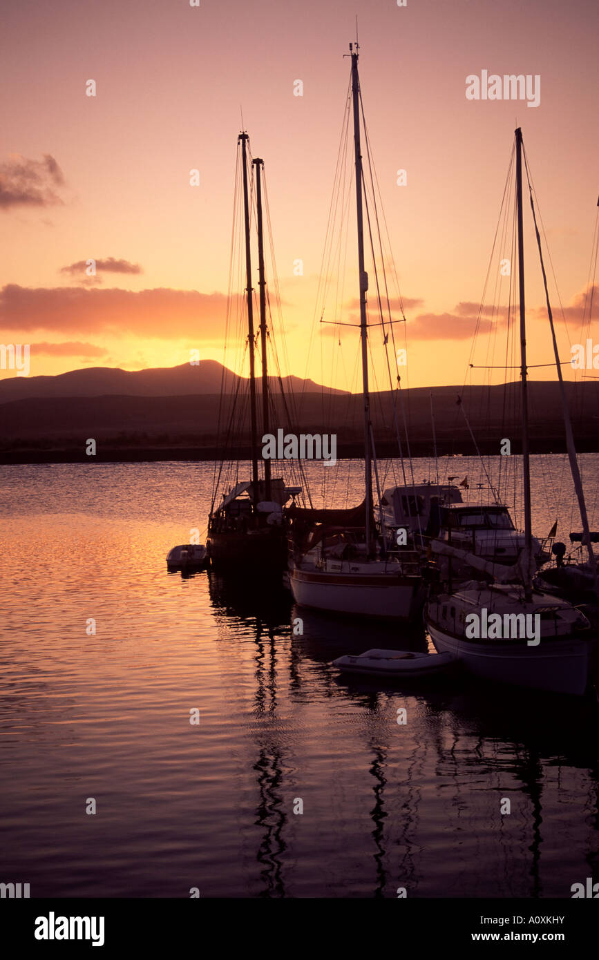Fustes High Resolution Stock Photography and Images - Alamy