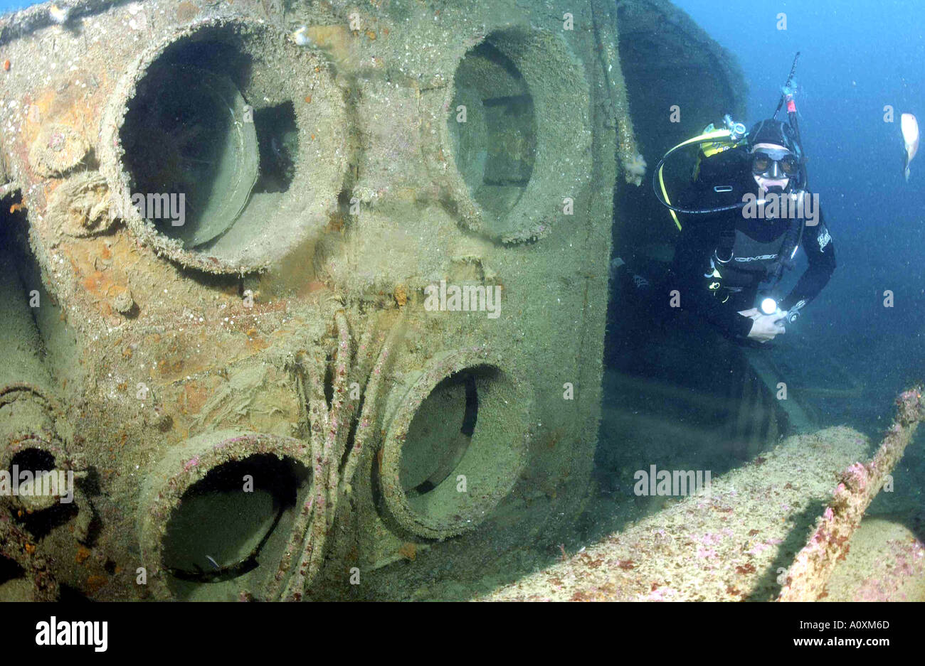 wreck diving in New Zealand in the Poor knights Stock Photo