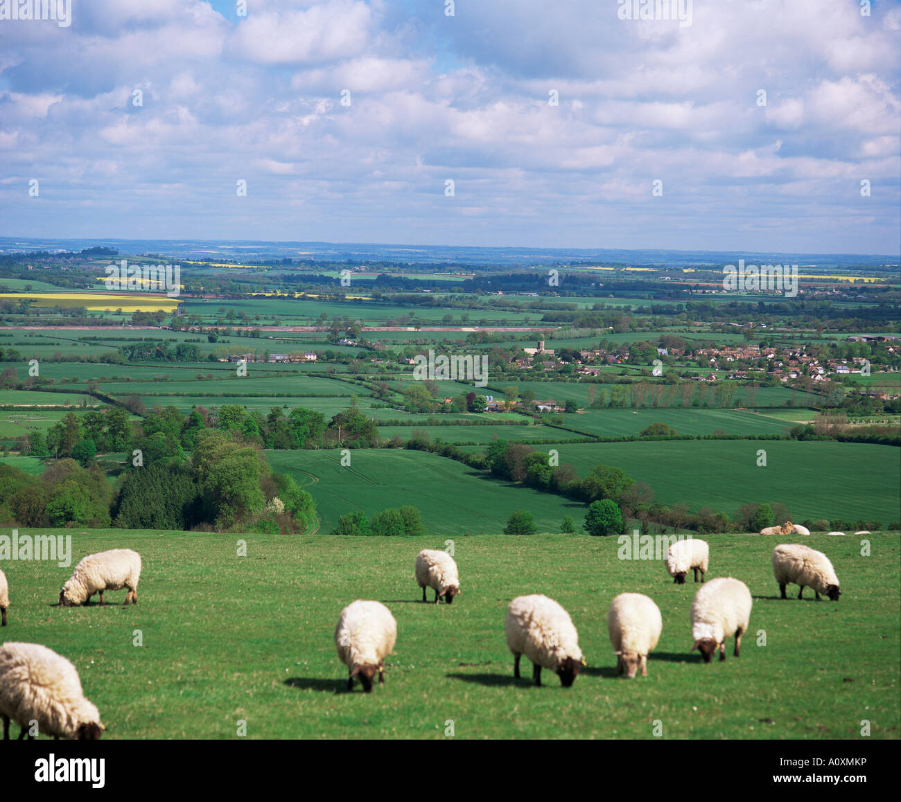 Uffington and the Vale of the White Horse south Oxfordshire England United Kingdom Europe Stock Photo