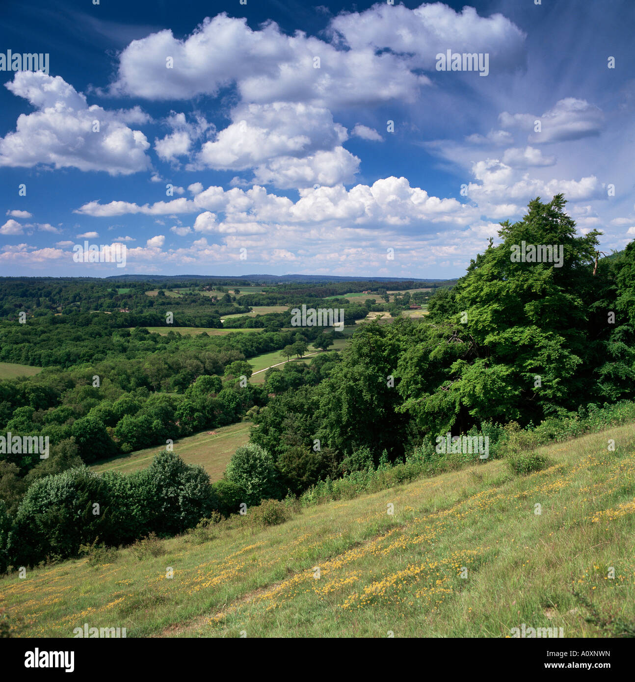View from the North Downs near Dorking Surrey England United Kingdom Europe Stock Photo