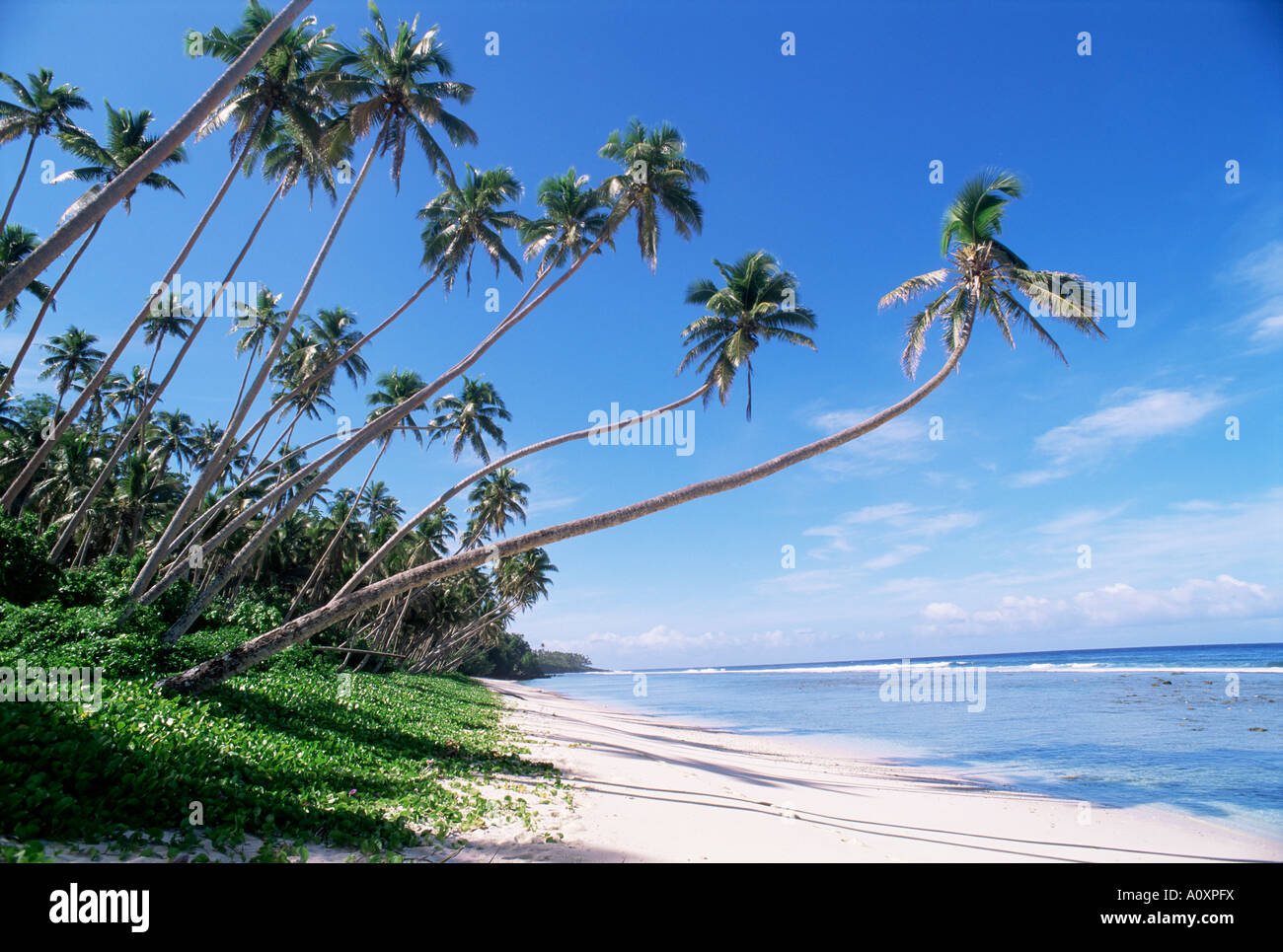 Faiaai beach Island of Savaii Western Somoa Pacific Stock Photo - Alamy