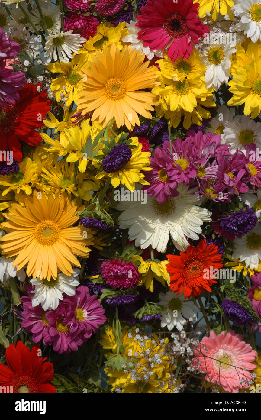 Photo bouquet hi-res stock photography and images - Alamy