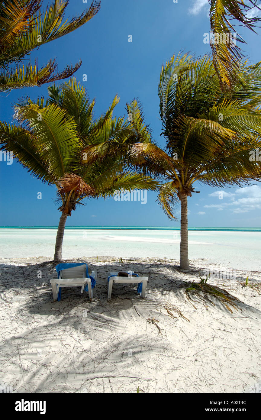 Palm trees beach hi-res stock photography and images - Alamy