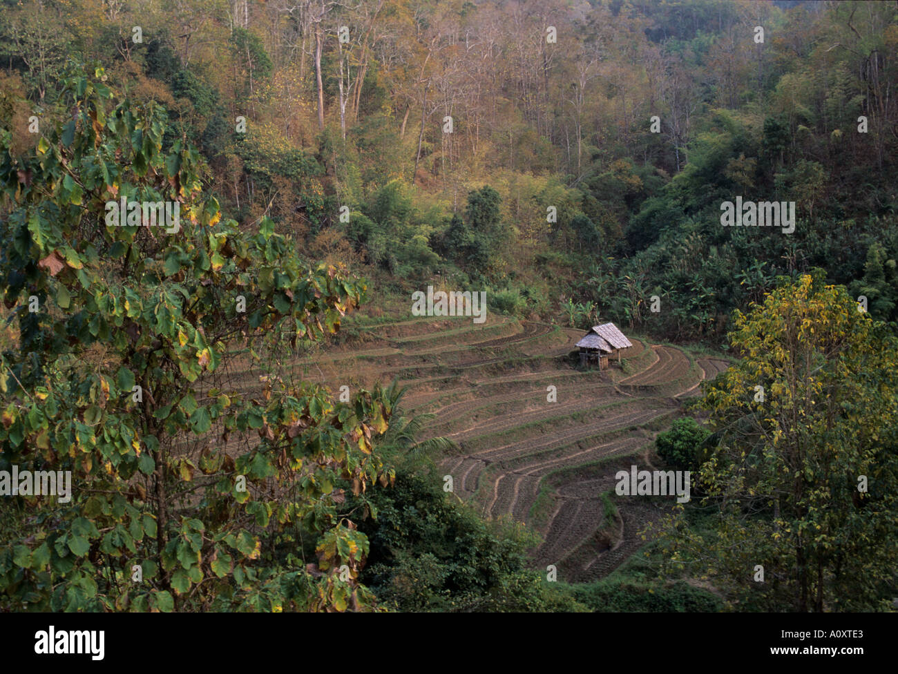 Karen hill tribe people, Mae Sariang area N Thailand Stock Photo