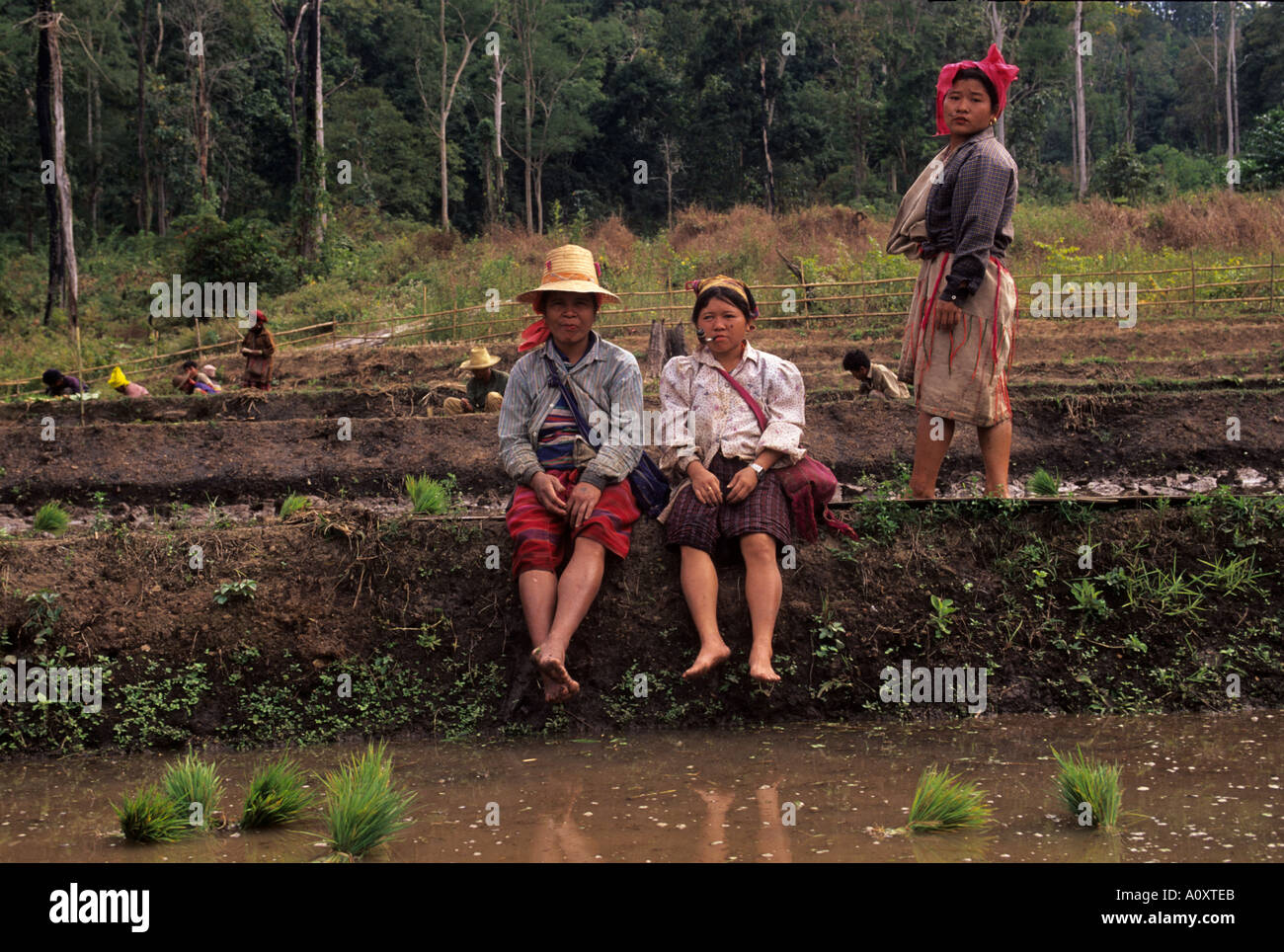 Karen hill tribe people, Mae Sariang area N Thailand Stock Photo