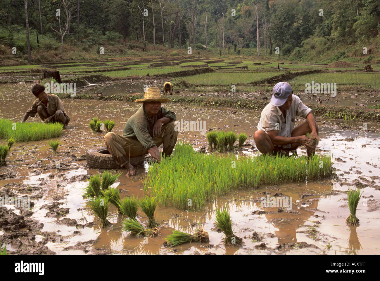 Karen hill tribe people, Mae Sariang area N Thailand Stock Photo