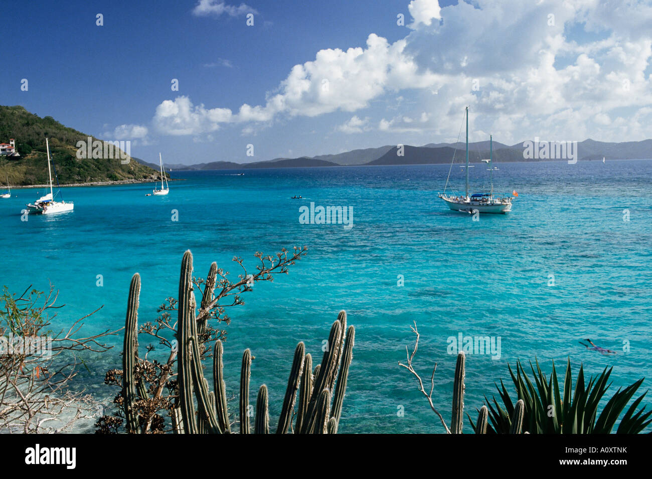 White Bay Jost Van Dyke island British Virgin Islands West Indies Central America Stock Photo
