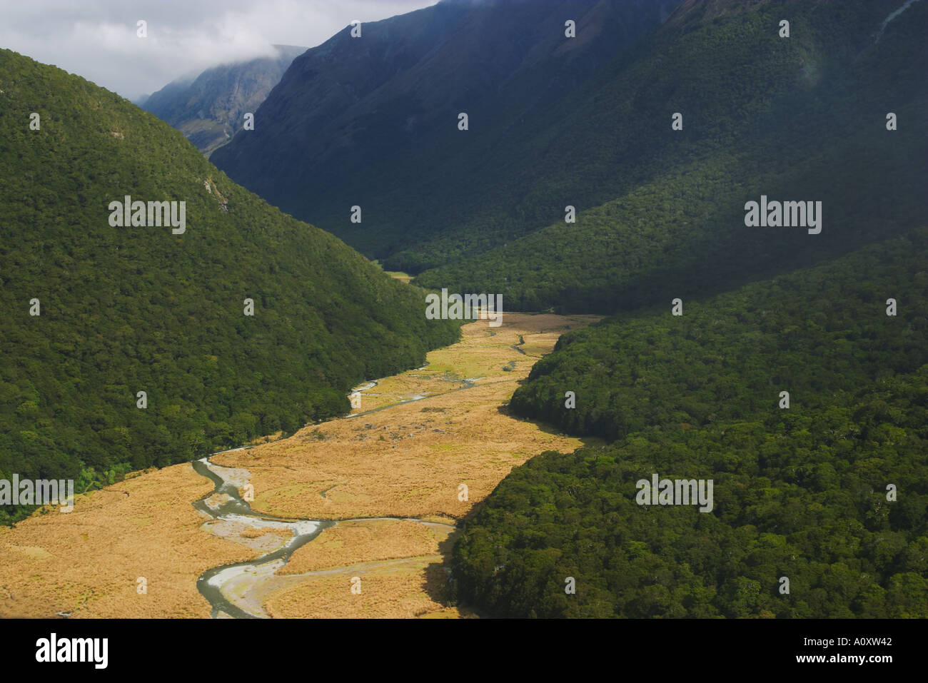 NEW ZEALAND Near Milford Sound River run through valley between