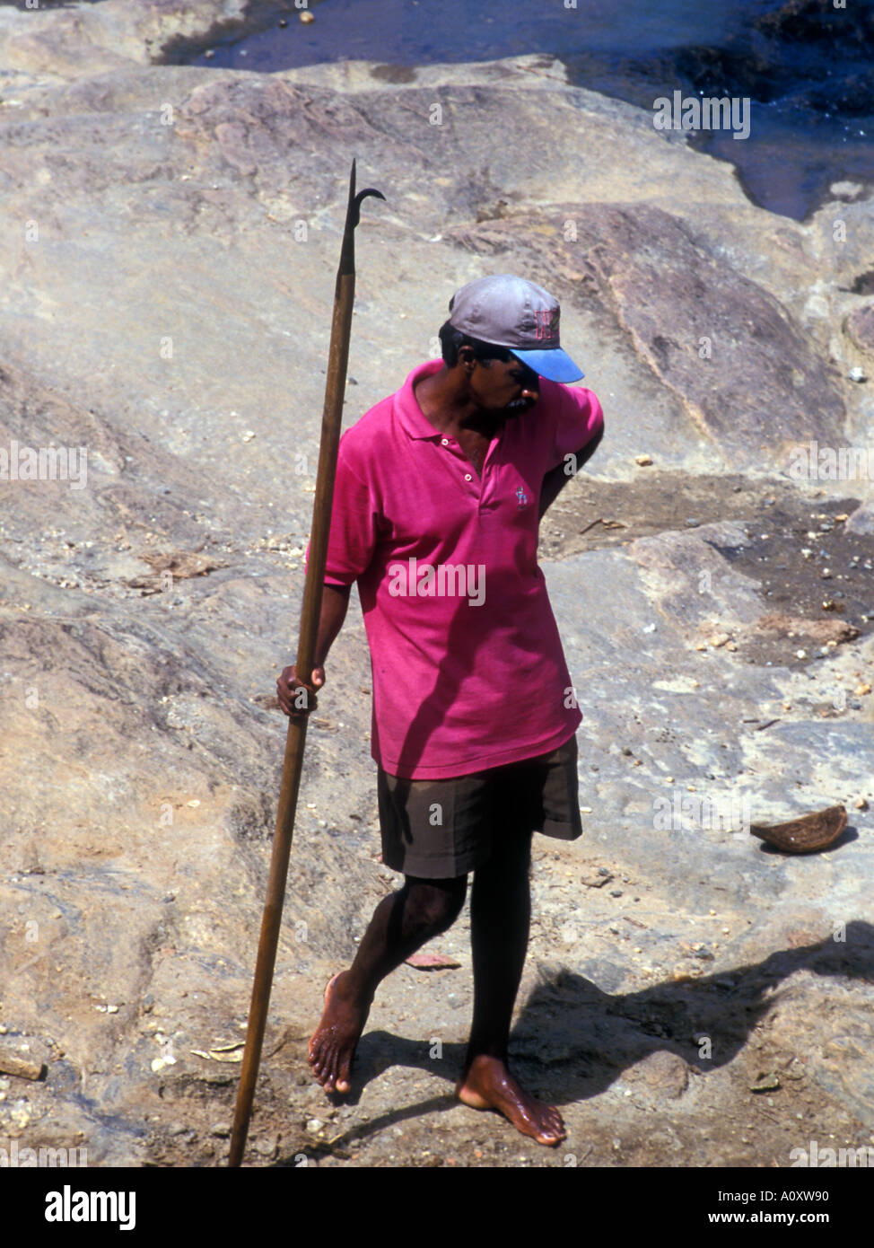 Sri Lankan Elephant handler at the Pinnawela Elephant Sanctuary in Sri Lanka Stock Photo Alamy