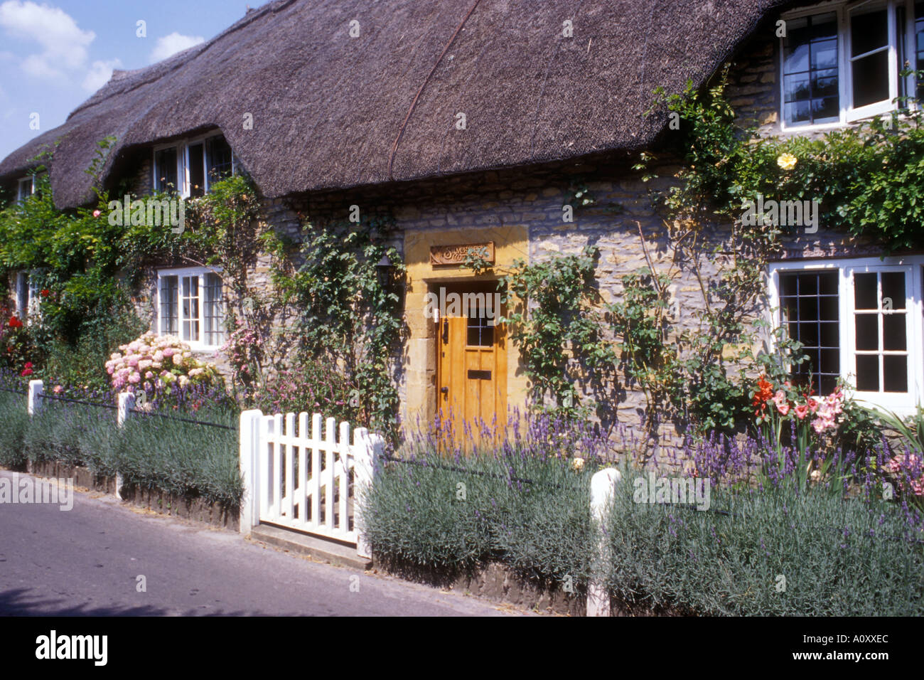 A Traditional Old English Thatched Roof Cottage Set In A Rural