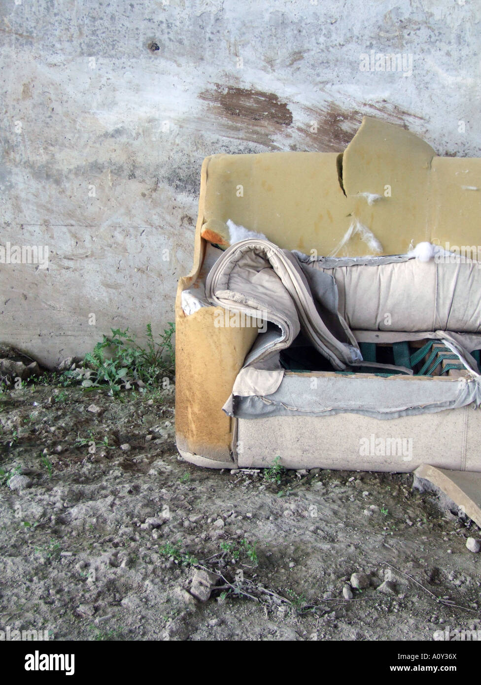 Where Can I Dump My Old Sofa at Donna Lockhart blog