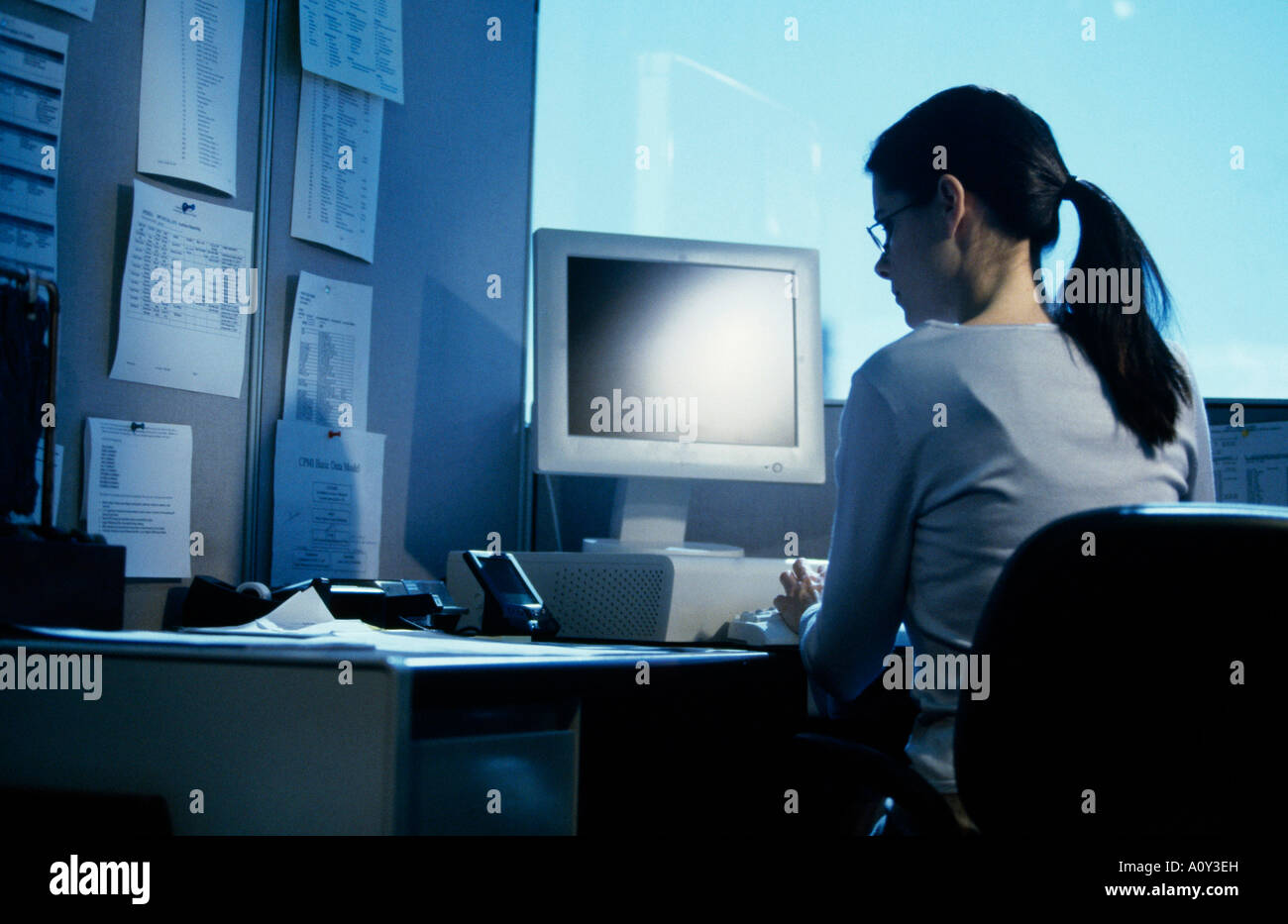 Woman work computer rear view hi-res stock photography and images - Alamy
