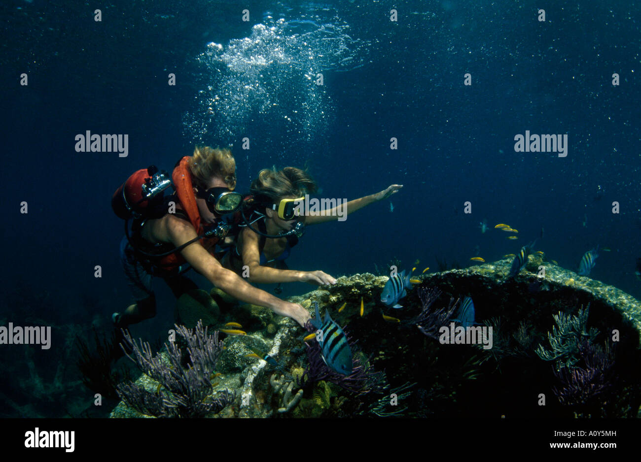 Group scuba divers man woman hi-res stock photography and images - Alamy