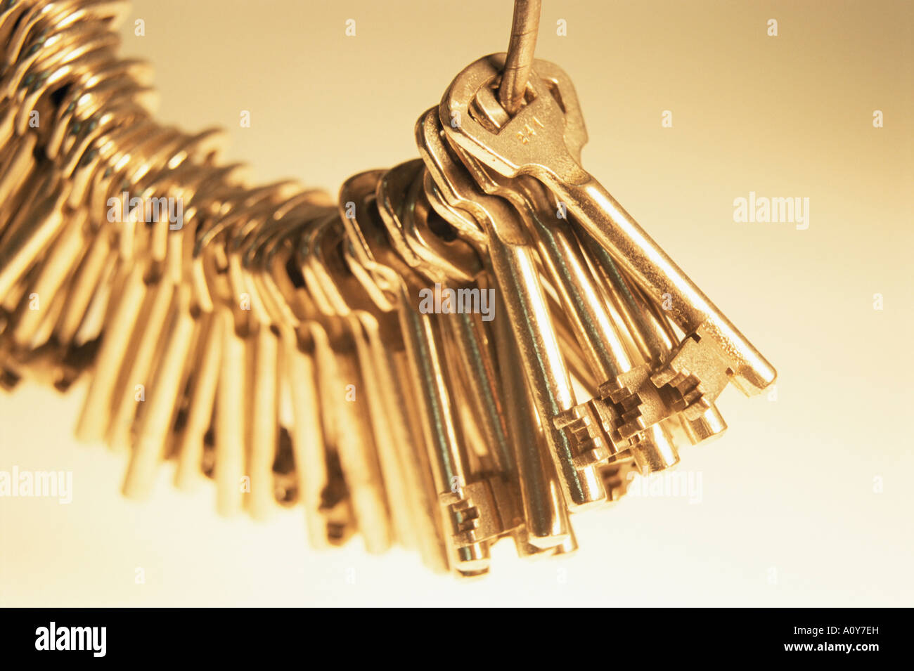 A string of keys Stock Photo Alamy
