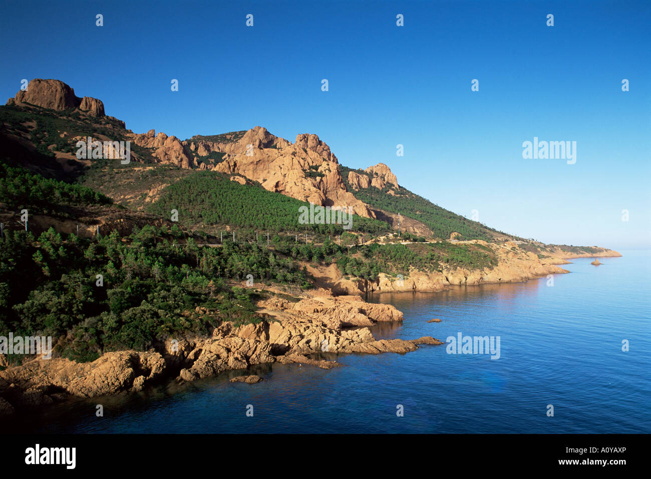 BIENVENUE SUR LE PORTAIL D AUTHENTIFICATION D ESTEREL COTE D AZUR intelligence overview