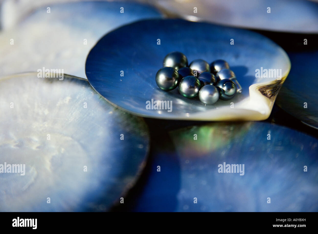 Black pearls Cook Islands South Pacific Pacific Stock Photo - Alamy